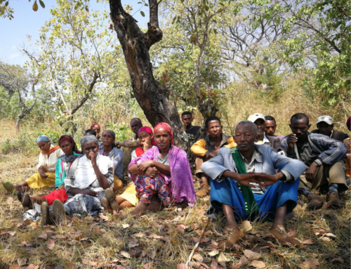 Convenio: Generar resiliencia frente al cambio climático fortaleciendo los medios de vida de las comunidades agropastoras somalíes
