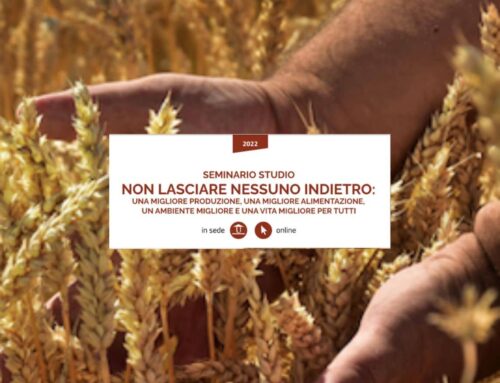 Prossimo seminario: “Non lasciare nessuno indietro”